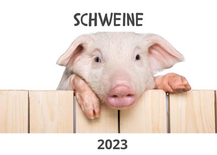 Calendar / Agendă Schweine 