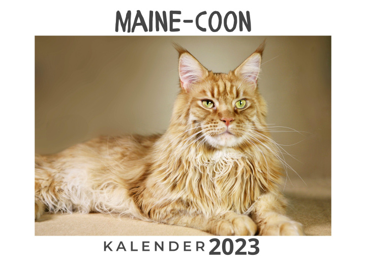Kalendář/Diář Maine-Coon 