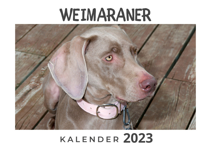 Calendar / Agendă Weimaraner 