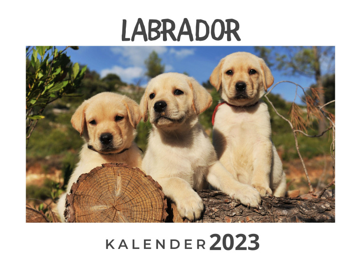 Calendar / Agendă Labrador 