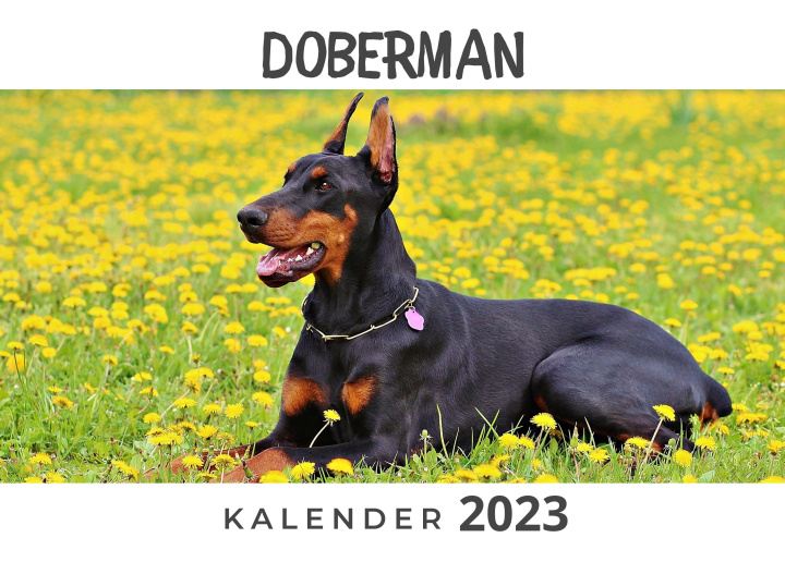 Calendar / Agendă Doberman 