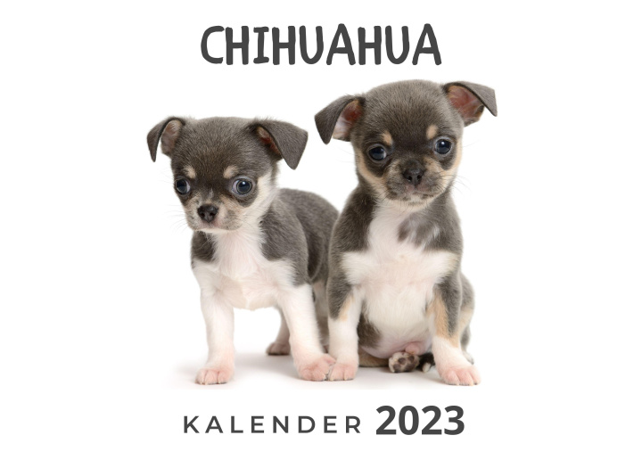 Kalendár/Diár Chihuahua 