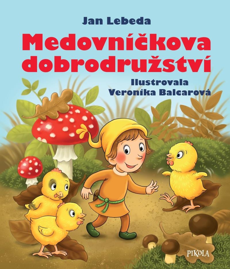 Buch Medovníčkova dobrodružství Jan Lebeda