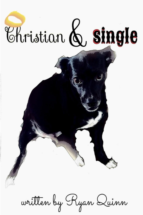 Knjiga Christian & Single Ryan Quinn
