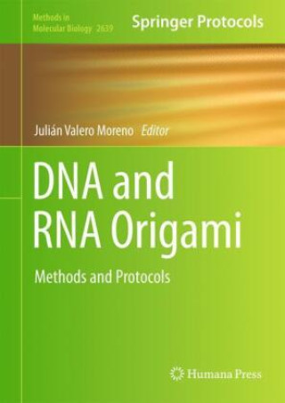 Könyv DNA and RNA Origami Julián Valero Moreno