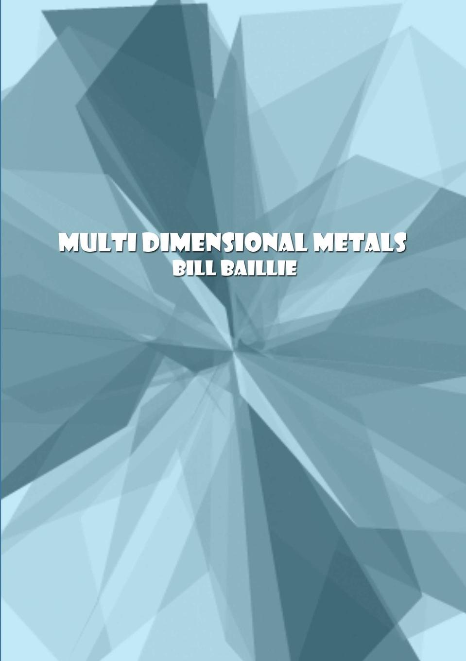 Knjiga Multi Dimensional Metals Bill Baillie
