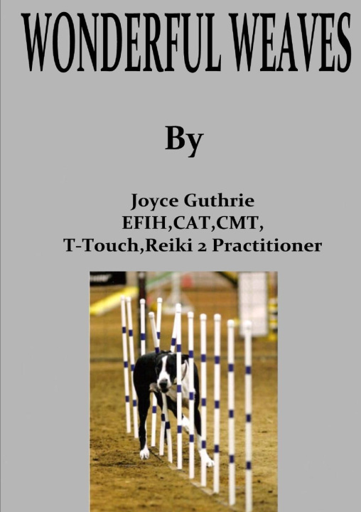 Knjiga Wonderful Weaves Joyce Guthrie