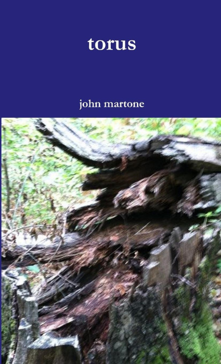 Book torus john martone