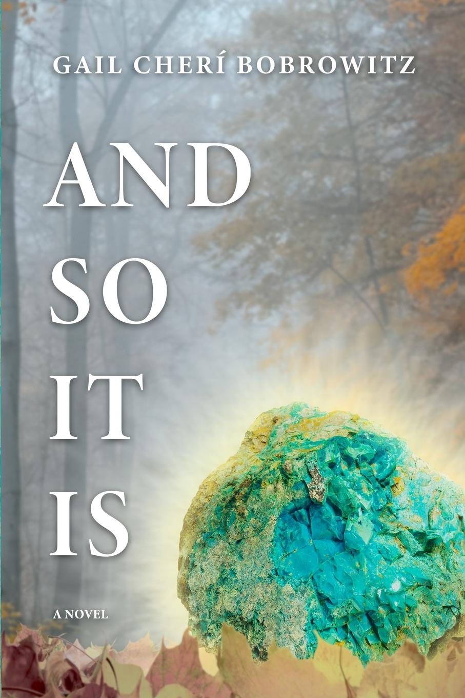 Buch And So It Is Gail Bobrowitz