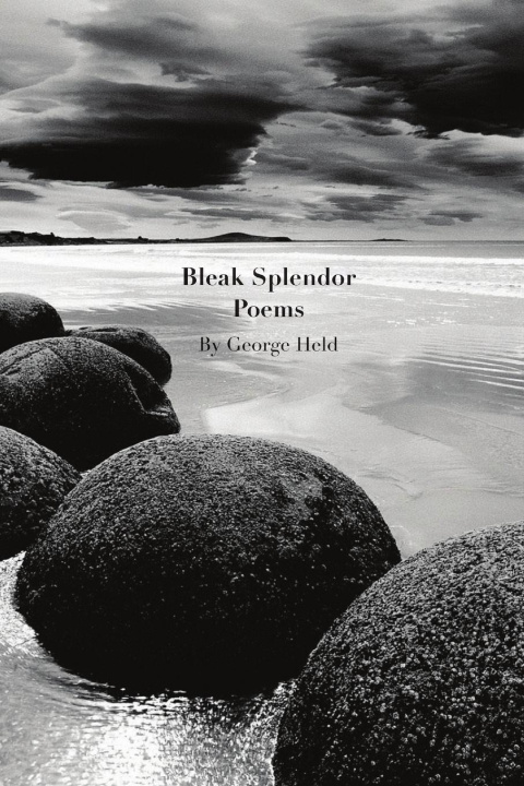 Buch Bleak Splendor George Held