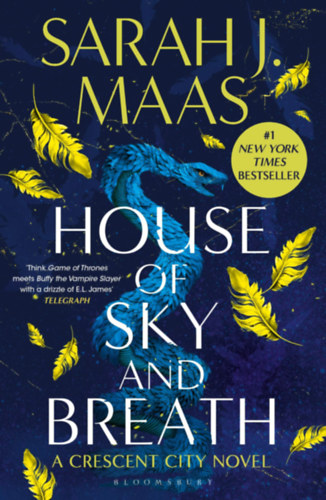 Book House of Sky and Breath Sarah J. Maas