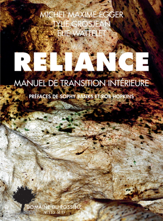 Libro Reliance Wattelet