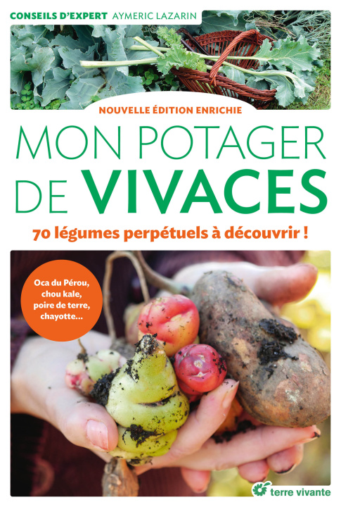 Könyv Mon potager de vivaces - Nouvelle édition enrichie Lazarin