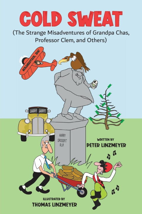 Buch Cold Sweat Peter Linzmeyer