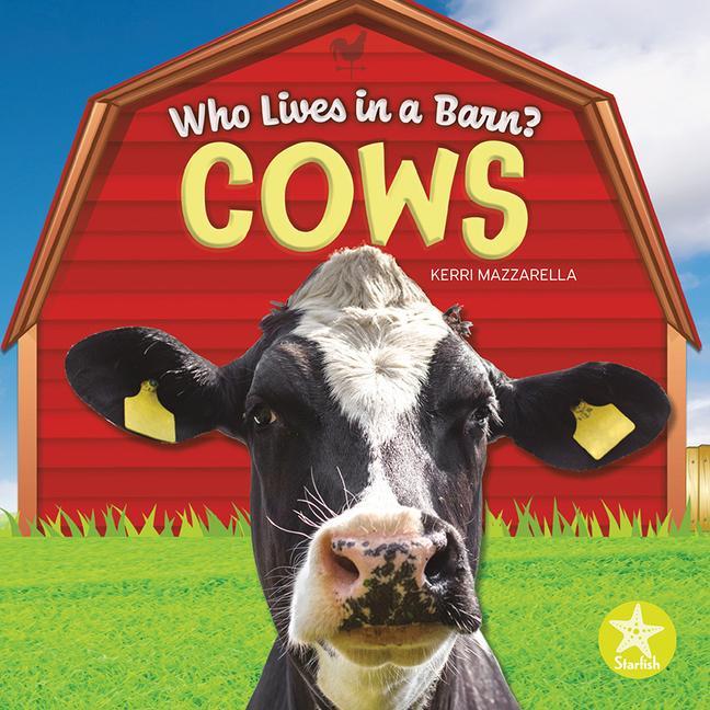 Buch Cows 