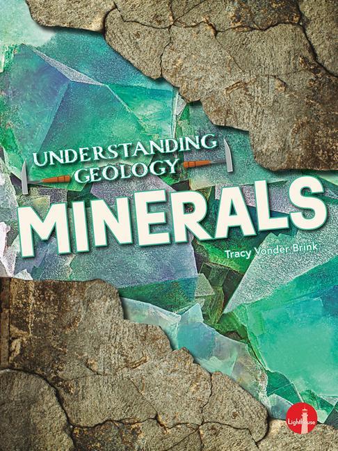 Knjiga Minerals 