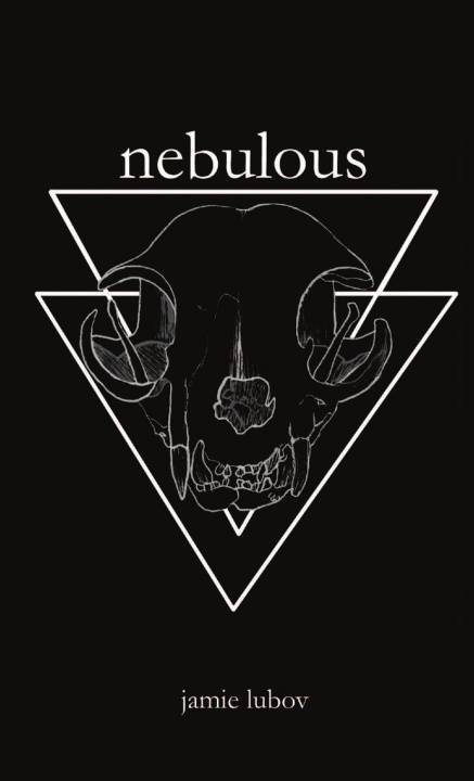 Könyv Nebulous Jamie Lubov