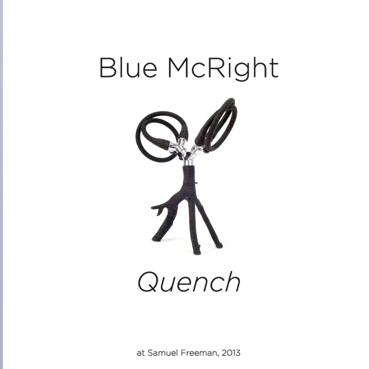 Book Blue McRight Samuel Freeman