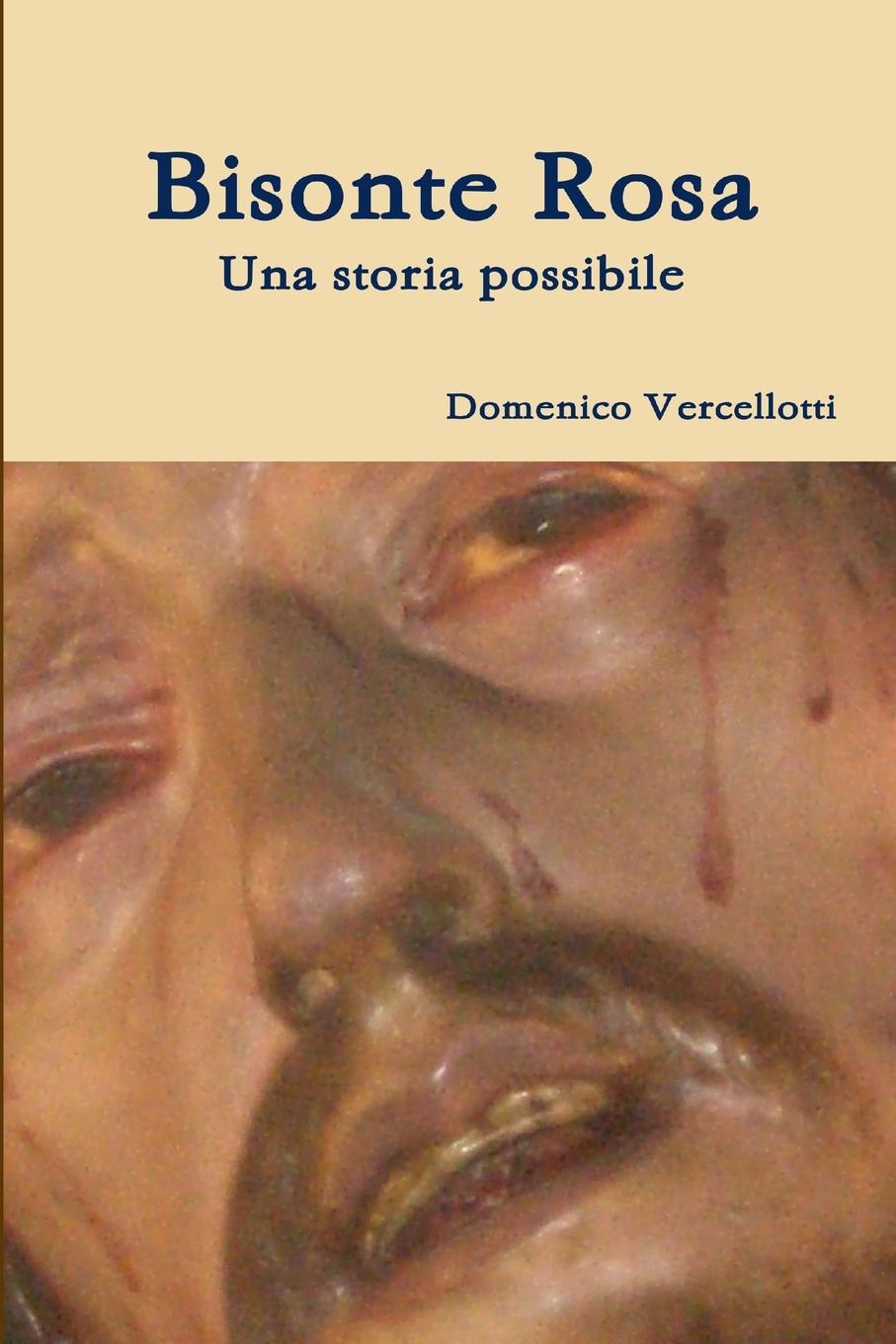Buch Bisonte Rosa Domenico Vercellotti