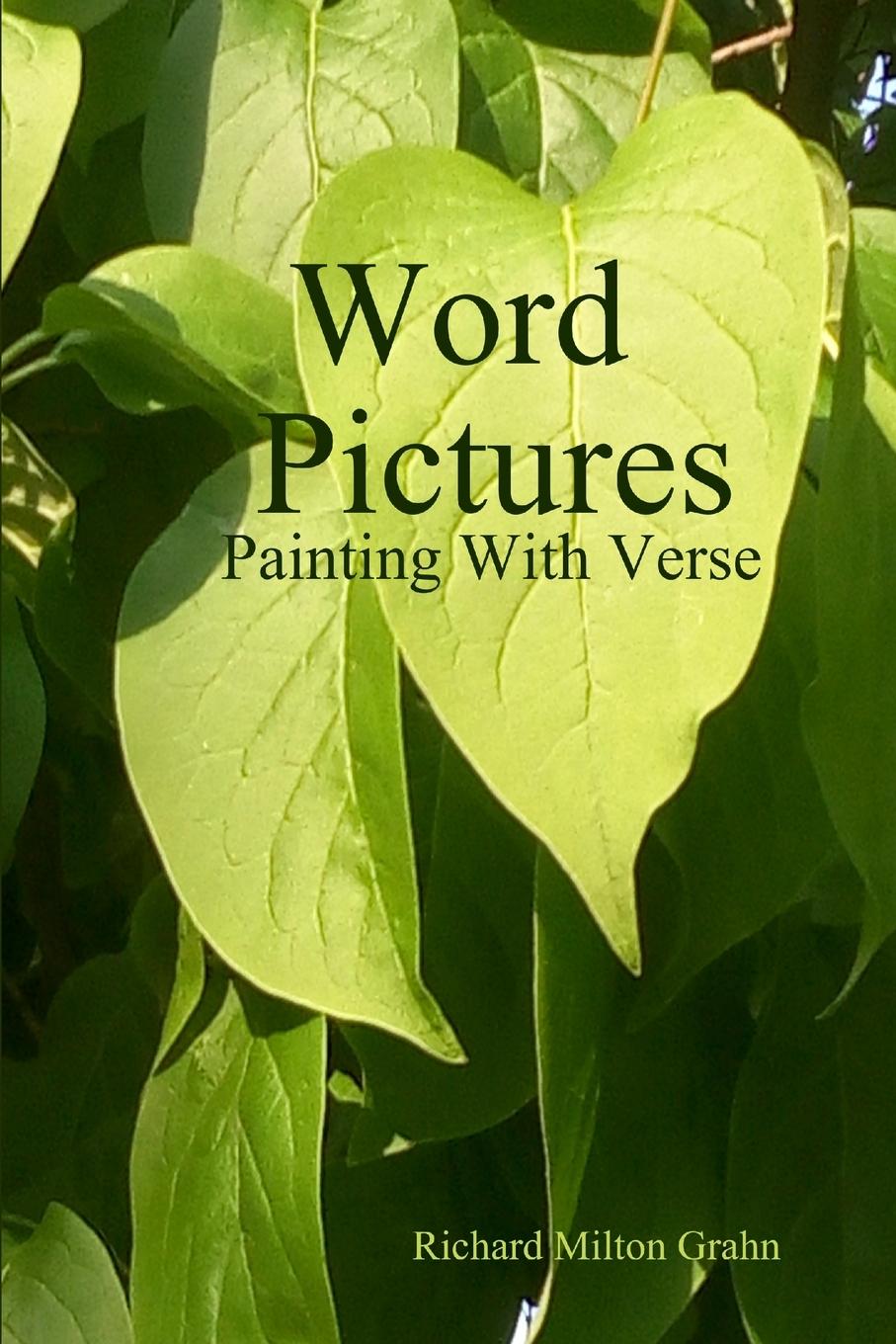 Knjiga Word Pictures Richard Milton Grahn
