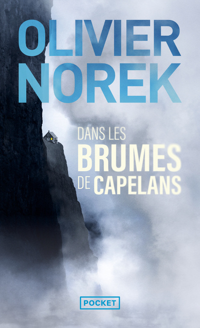 Könyv Dans les brumes de Capelans 