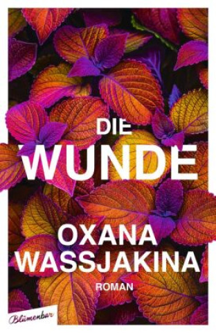 Knjiga Die Wunde Maria Rajer