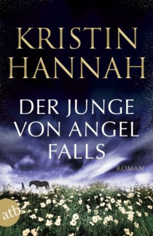 Kniha Der Junge von Angel Falls Gabriele Weber-Jaric