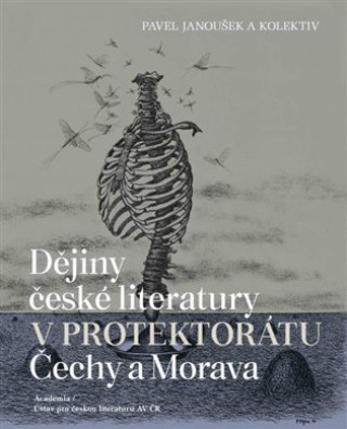 Könyv Dějiny české literatury v protektorátu Čechy a Morava Pavel Janoušek