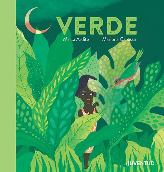 Kniha Verde ARDITE