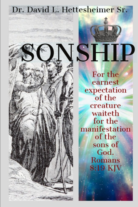 Knjiga SONSHIP David Hettesheimer