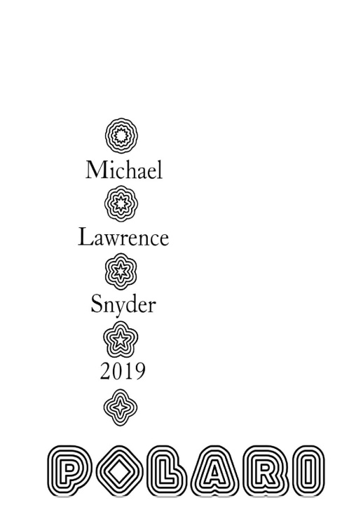 Boek Polari Michael Snyder