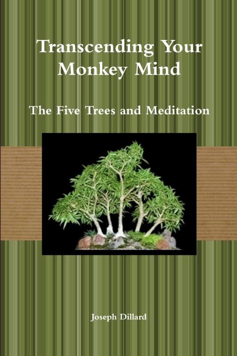 Boek Transcending Your Monkey Mind Joseph Dillard
