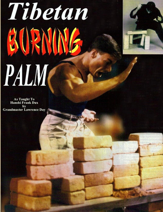 Könyv Tibetan Burning Palm 