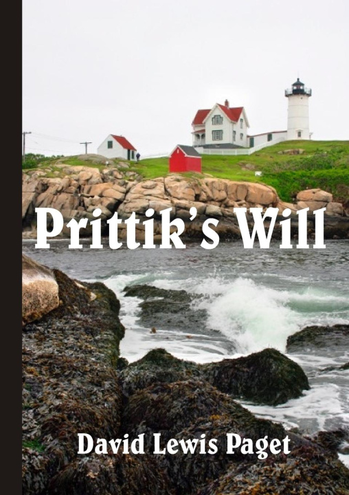 Knjiga Prittik's Will David Lewis Paget