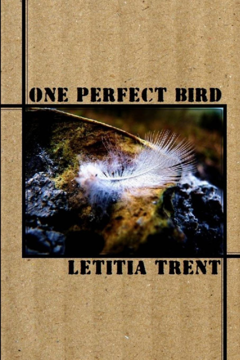 Boek One Perfect Bird Letitia Trent
