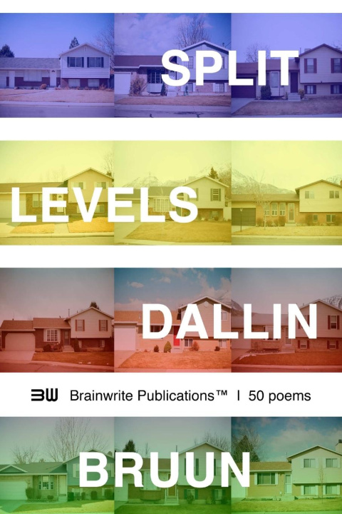 Knjiga Split Levels Dallin Bruun