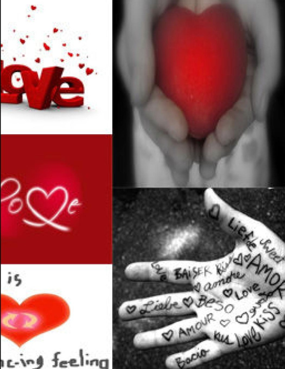 Knjiga Love Benjamin Hawks