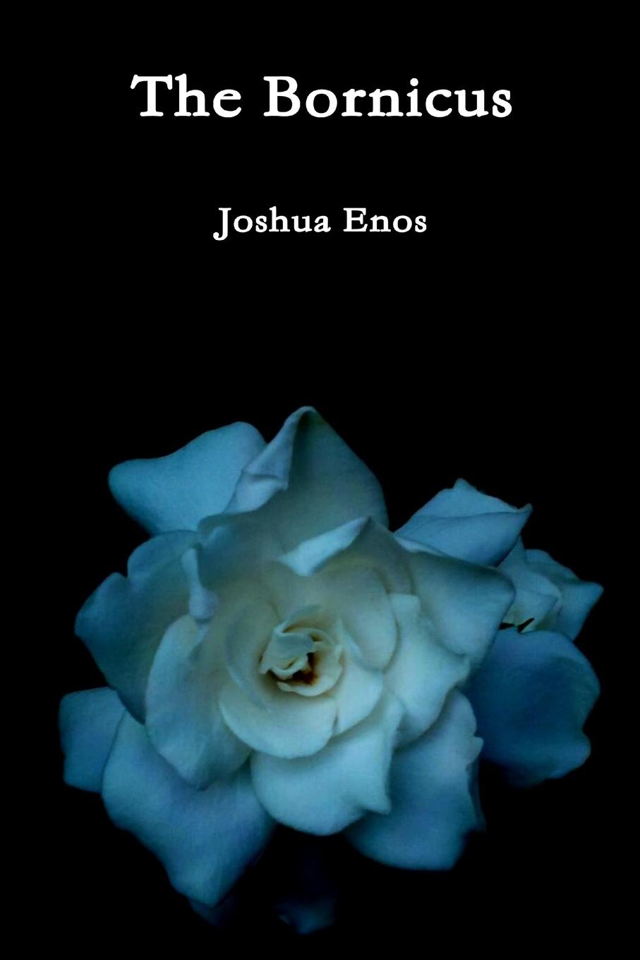 Boek The Bornicus Joshua Enos