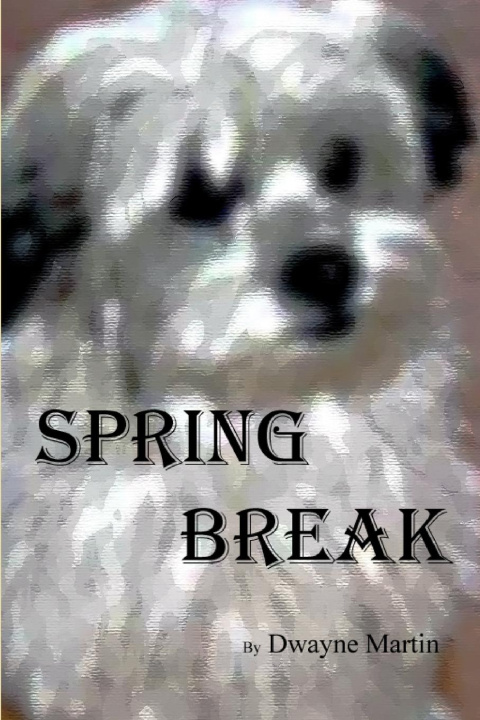 Knjiga Spring Break Dwayne Martin
