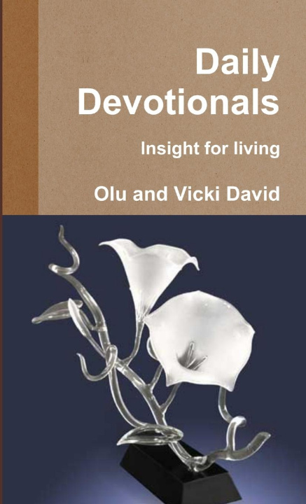 Knjiga Devotionals- Insight for living Olu and Vicki David