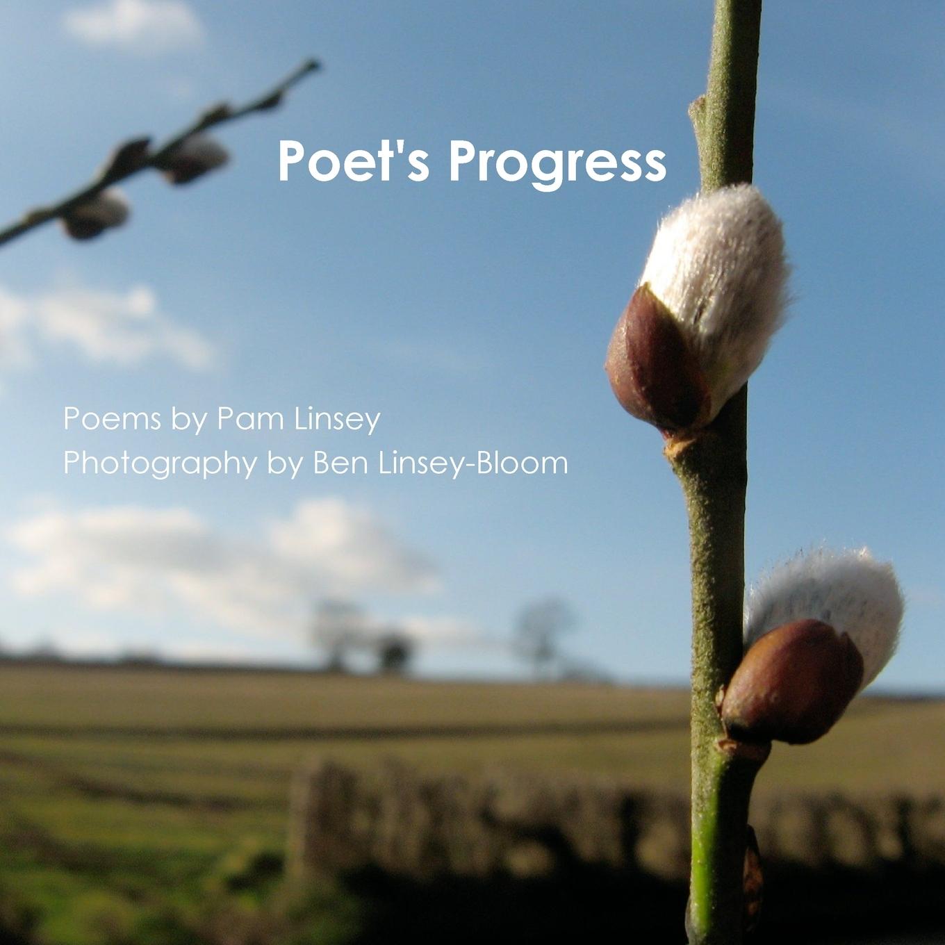 Knjiga Poet's Progress Pamella Linsey
