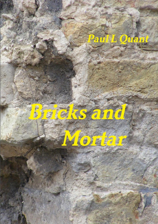 Kniha Bricks and Mortar Paul Quant