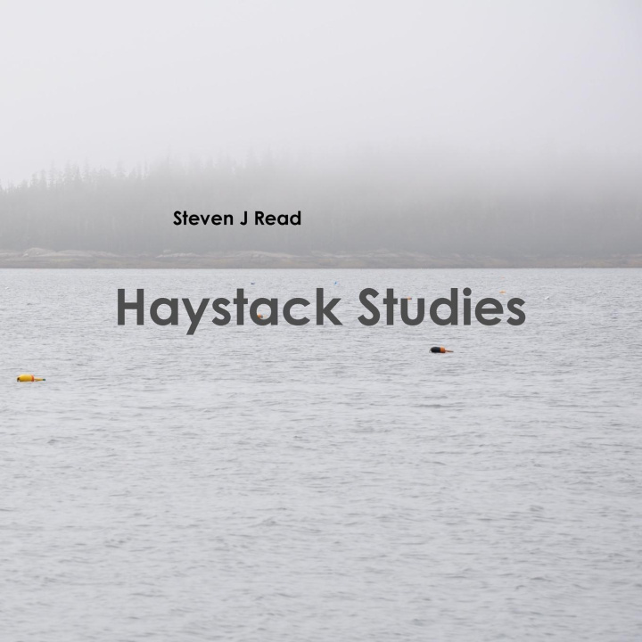 Knjiga Haystack Studies Steven J Read