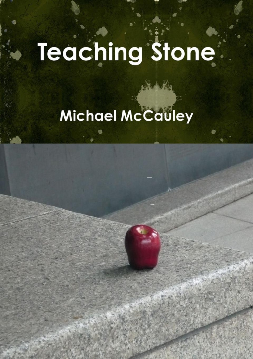 Knjiga Teaching Stone Michael McCauley