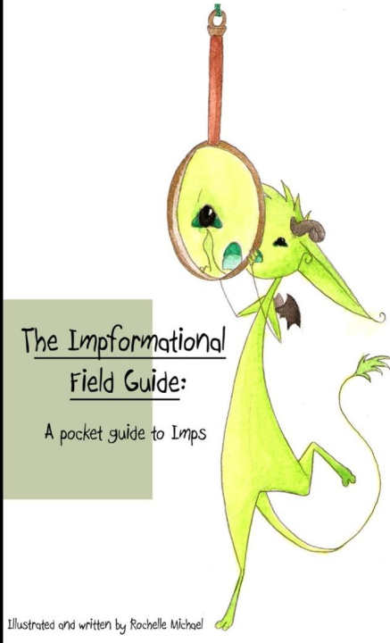 Knjiga Impformational pocket guide Rochelle Michael