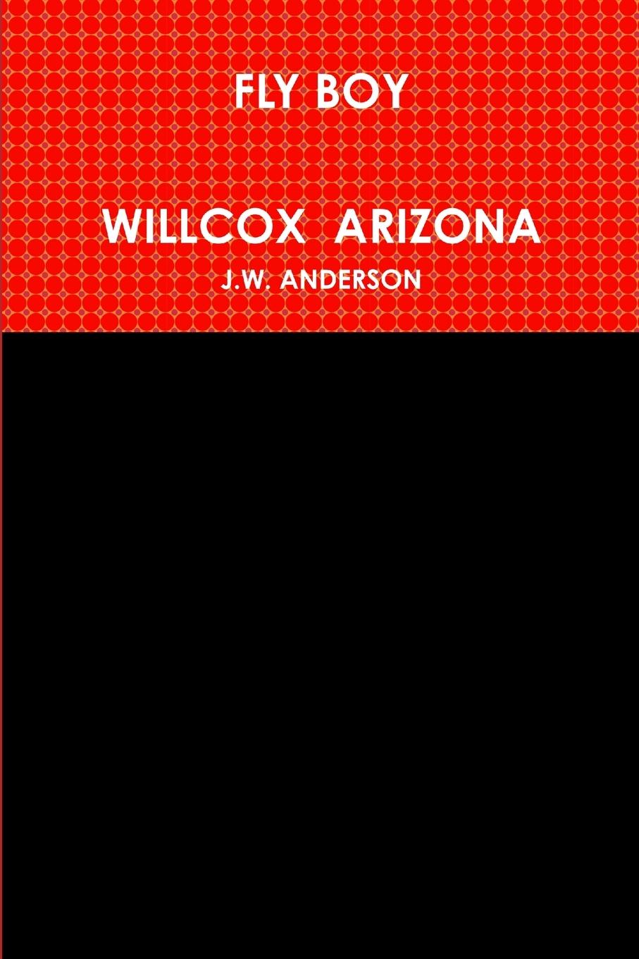 Knjiga FLY BOY   WILLCOX  ARIZONA J.W. ANDERSON