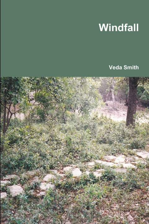 Knjiga Windfall Veda Smith