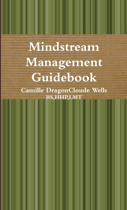Knjiga Mindstream Management Guidebook Camille DragonCloude Wells