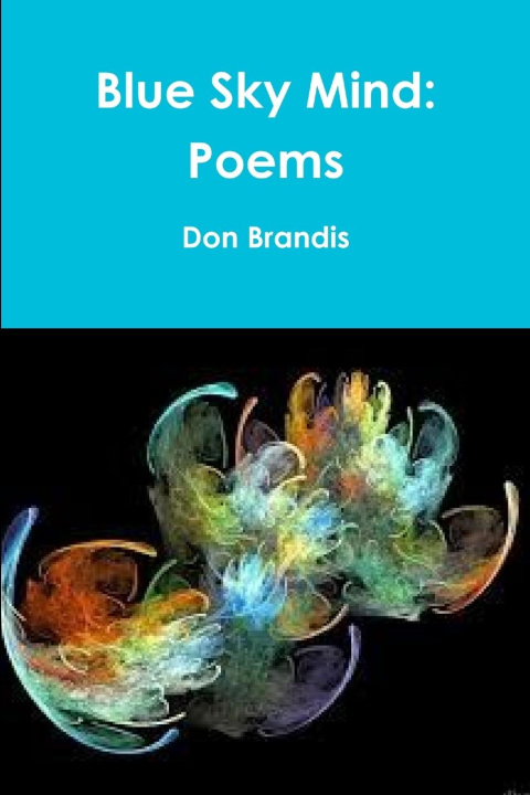 Buch Blue Sky Mind Don Brandis