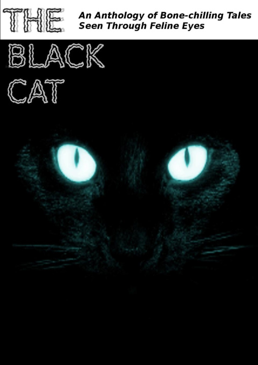Könyv The Black Cat 